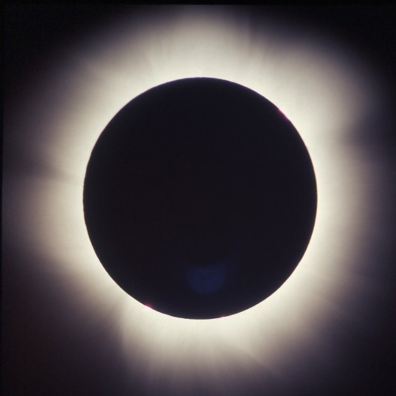 700307-3 Corona